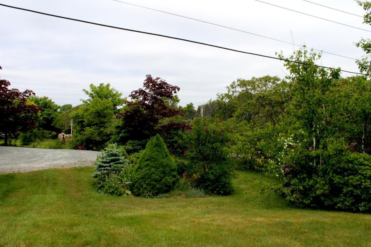 Mackenzie House B&B By Elevate Rooms Port Hawkesbury Dış mekan fotoğraf